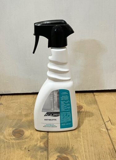 フィレンツェにおけるカビの問題