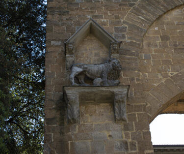 イタリア留学に英語は必要か？